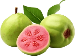 Guava-Fruit-Powder
